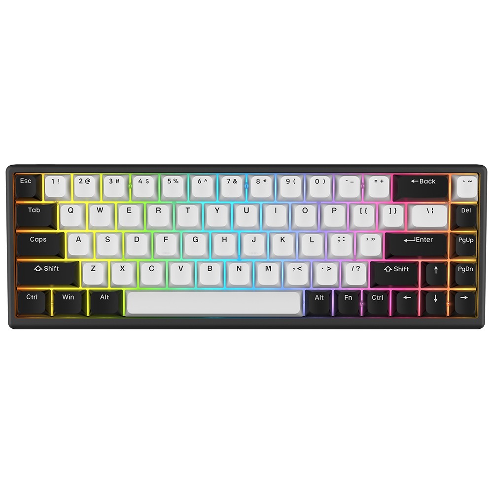 Arbiter Studio Polar 65 Keyboard Black Panda / Black frame